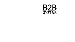B2B.MASVERI.com